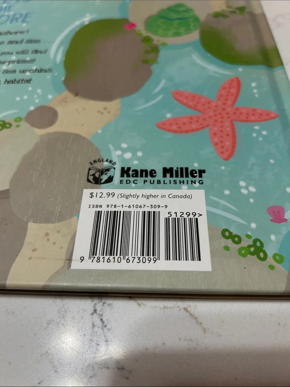 Secrets of the Seashore - A Shine-A-Light Book (Blue)